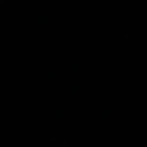 Meet your Posher, Paulina